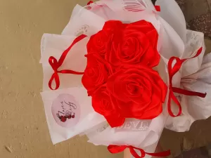 Rojos